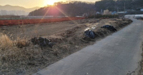 대구광역시 수성구 성동 OOOOO 답 경매 물건 이미지
