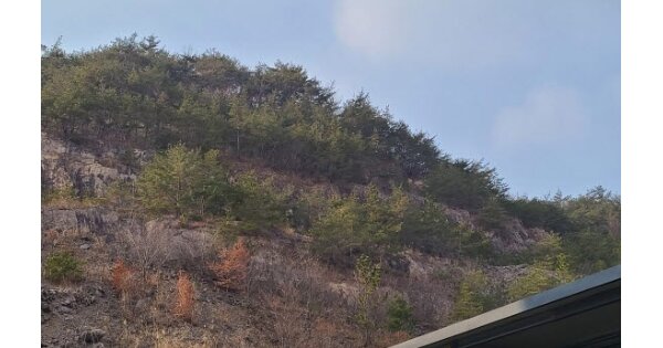 전라남도 화순군 도곡면 천암리 OOOOO 대지 경매 물건 이미지
