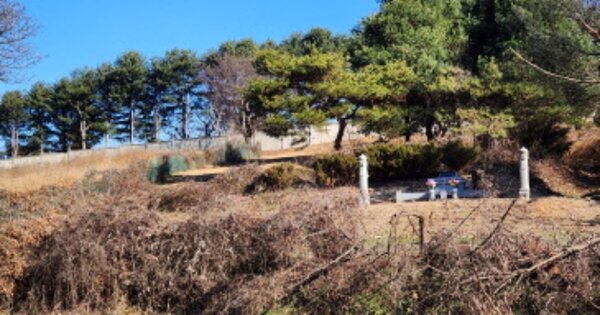 경기도 용인시 처인구 원삼면 독성리 O 전 경매 물건 이미지