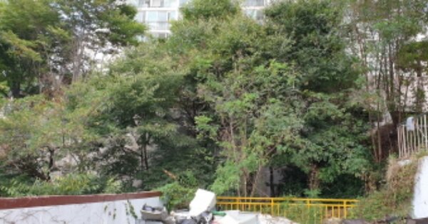 경상남도 합천군 합천읍 합천리 OOOOO 전 경매 물건 이미지
