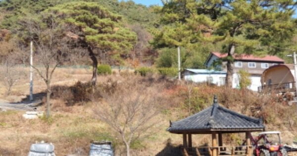 경상남도 합천군 묘산면 거산리 OOOOO 임야 경매 물건 이미지