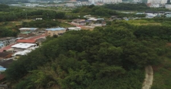 경상북도 김천시 덕곡동 OOOOO 임야 경매 물건 이미지
