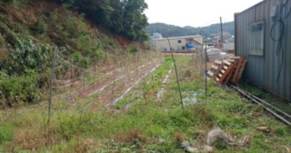 인천광역시 옹진군 영흥면 내리 OOO 전 경매 물건 이미지