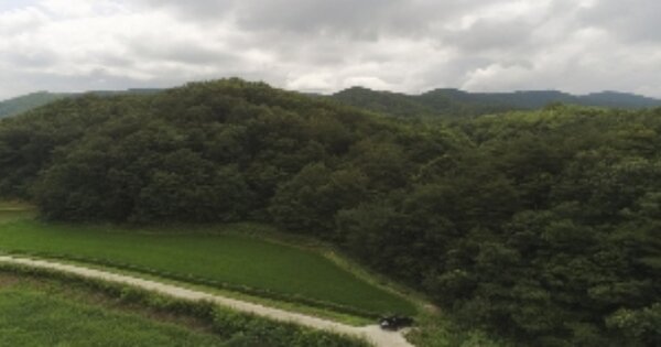 경상북도 김천시 대덕면 중산리 OOOO 임야 경매 물건 이미지