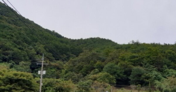 경상북도 경주시 산내면 내칠리 OOOO 임야 경매 물건 이미지