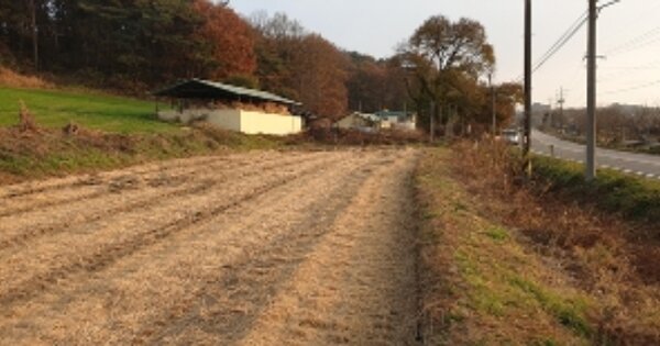 충청남도 예산군 고덕면 대천리 OOOOO O OOO 단독주택 경매 물건 이미지