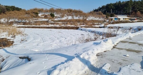 충청남도 서천군 서면 주항리 OOOO 답 경매 물건 이미지