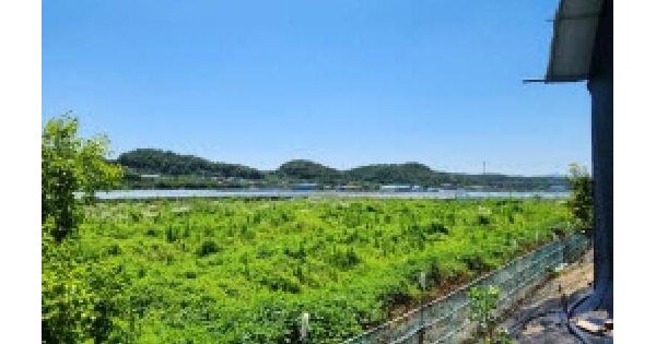 경상북도 영천시 매산동 114  미지정 경매 물건 이미지