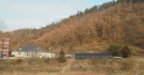충청남도 논산시 양촌면 남산리 OOO 임야 경매 물건 이미지