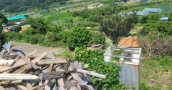 경상남도 거제시 사등면 사곡리 OOOOO O OOO 임야 경매 물건 이미지