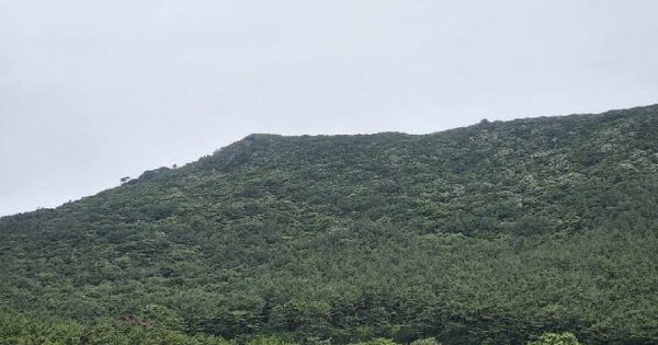 경상남도 거제시 남부면 다대리 OOO 임야 경매 물건 이미지