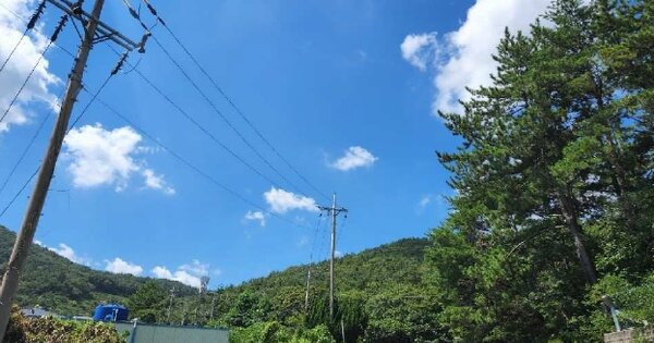 경상남도 거제시 사등면 사곡리 OOO 임야 경매 물건 이미지