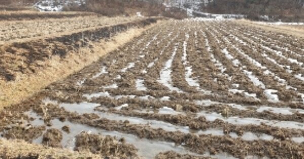 전라북도 남원시 덕과면 사율리 OOOOOO 답 경매 물건 이미지