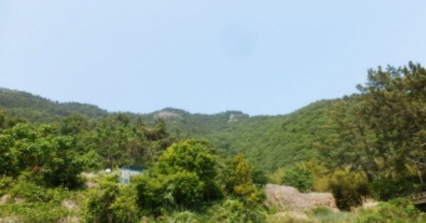 경상남도 남해군 남면 선구리 OOOO 임야 경매 물건 이미지