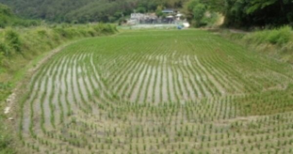 경상남도 진주시 내동면 삼계리 OO 답 경매 물건 이미지