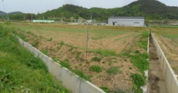 전라북도 정읍시 영원면 후지리 OOOOOO 답 경매 물건 이미지