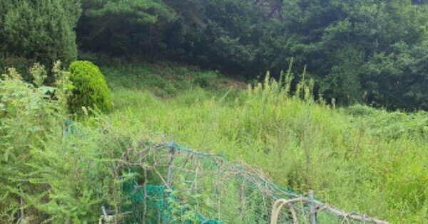 경상북도 성주군 수륜면 계정리 OOO 임야 경매 물건 이미지
