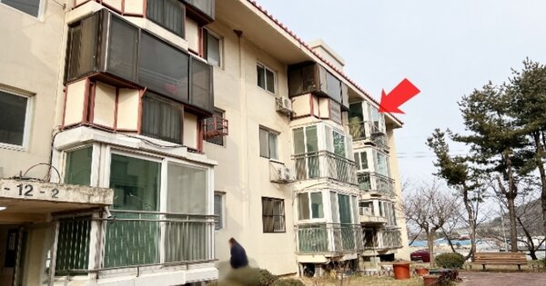 강원특별자치도 동해시 북평동 8-6, 12동 OO OOOO O OOO 연립주택 경매 물건 이미지