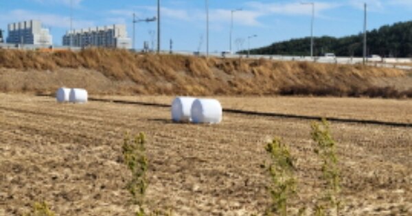 경상북도 포항시 북구 흥해읍 마산리 OOOOO 답 경매 물건 이미지