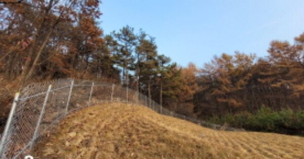 경기도 양평군 청운면 갈운리 OOO 임야 경매 물건 이미지