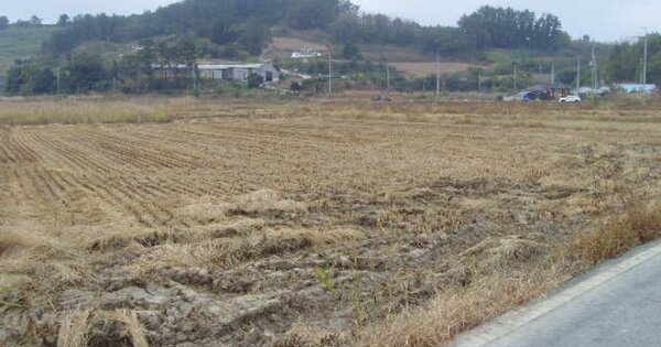 전라남도 완도군 고금면 덕동리 OOO O OOO 답 경매 물건 이미지