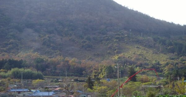 전라남도 진도군 고군면 향동리 OOOO 임야 경매 물건 이미지