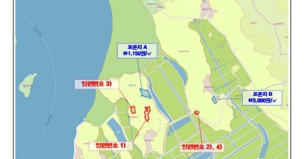 전라남도 신안군 안좌면 내호리 OOO 임야 경매 물건 이미지
