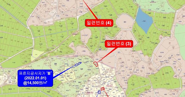 전라남도 함평군 월야면 월악리 OOO 전 경매 물건 이미지