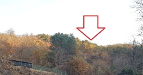 강원도 춘천시 삼천동 OOOOOO 임야 경매 물건 이미지