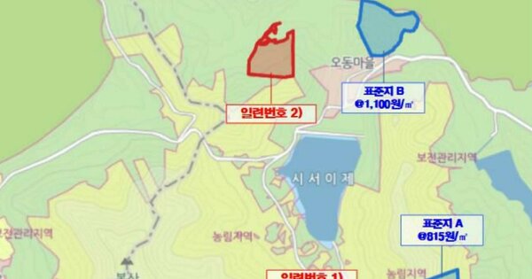 전라남도 신안군 안좌면 시서리 OOOOOO 임야 경매 물건 이미지