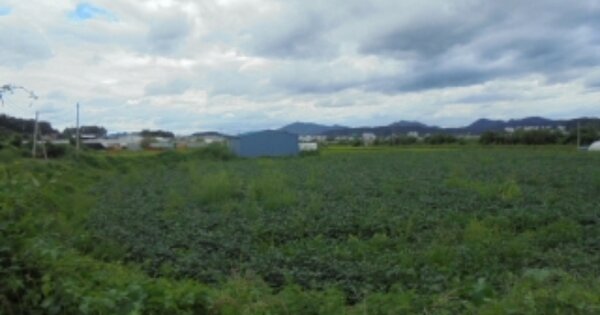 충청북도 보은군 보은읍 신함리 OOO 답 경매 물건 이미지