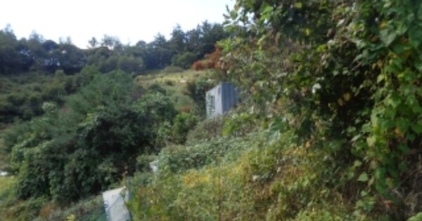 충청북도 괴산군 괴산읍 서부리 OOO O OOO 전 경매 물건 이미지