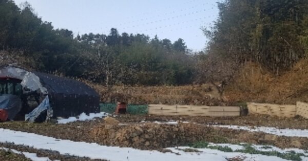 전라남도 순천시 승주읍 신전리 OOO 대지 경매 물건 이미지