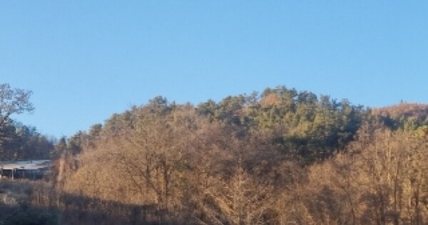 충청북도 청주시 청원구 오창읍 OOOOOOO OOOOO 임야 경매 물건 이미지