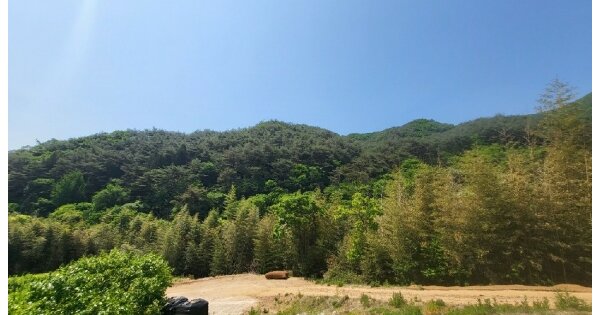 전라남도 곡성군 죽곡면 동계리 OOOO 임야 경매 물건 이미지