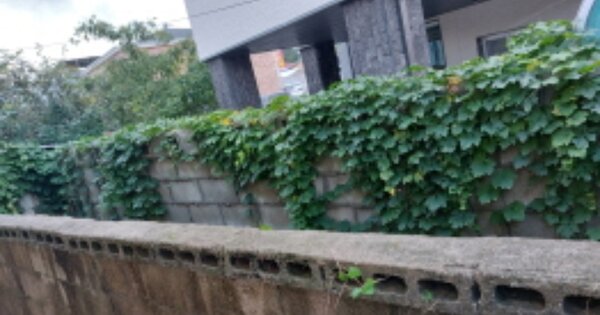 경기도 파주시 적성면 마지리 OOOOO 대지 경매 물건 이미지