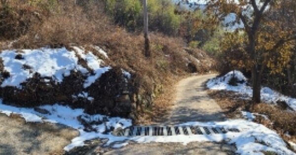전라남도 곡성군 죽곡면 유봉리 OOO 전 경매 물건 이미지