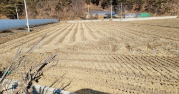 경상북도 봉화군 법전면 소지리 OOOOOO 답 경매 물건 이미지