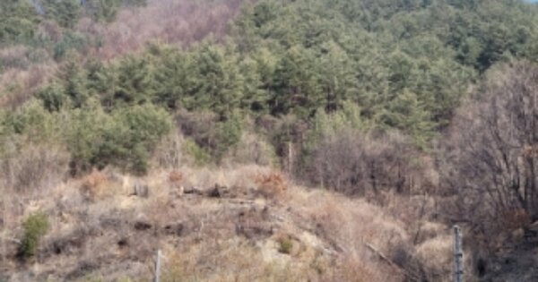경상북도 봉화군 석포면 승부리 OOOOO O OOO 임야 경매 물건 이미지