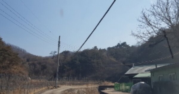 경상북도 안동시 임동면 대곡리 OOO 임야 경매 물건 이미지
