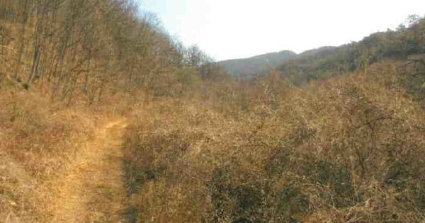경상북도 안동시 임동면 사월리 OOO 전 경매 물건 이미지