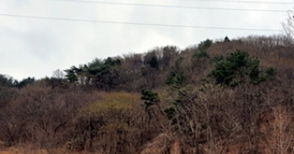 경상남도 김해시 생림면 나전리 OOOOOO 임야 경매 물건 이미지