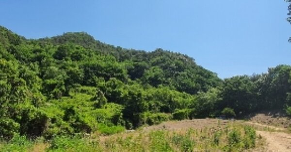 경상남도 함안군 칠원읍 운곡리 OOO 임야 경매 물건 이미지