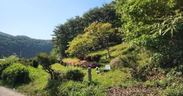 울산광역시 울주군 삼동면 작동리 OOO 전 경매 물건 이미지