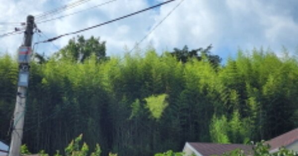 경상남도 양산시 원동면 용당리 OOOOOO 전 경매 물건 이미지