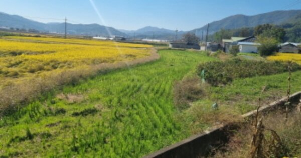 충청남도 아산시 송악면 평촌리 OOOO 답 경매 물건 이미지