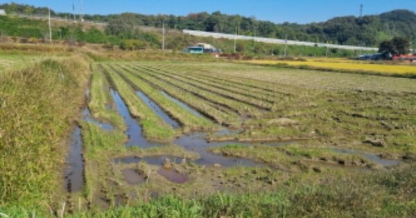 충청남도 아산시 송악면 평촌리 OOOO 답 경매 물건 이미지