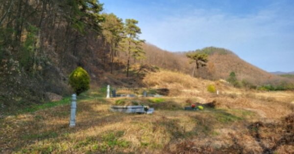 충청남도 천안시 동남구 병천면 관성리 OOOOO O OOO 답 경매 물건 이미지