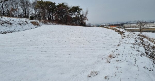 충청남도 천안시 서북구 입장면 연곡리 OOO 전 경매 물건 이미지