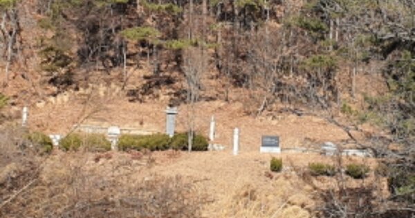 경상남도 김해시 삼계동 OOOO 임야 경매 물건 이미지